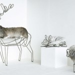 Domestic Animals Guus Van Leeuwen